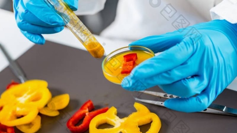 膨化食品机械材质：安全与效率的双重保障**